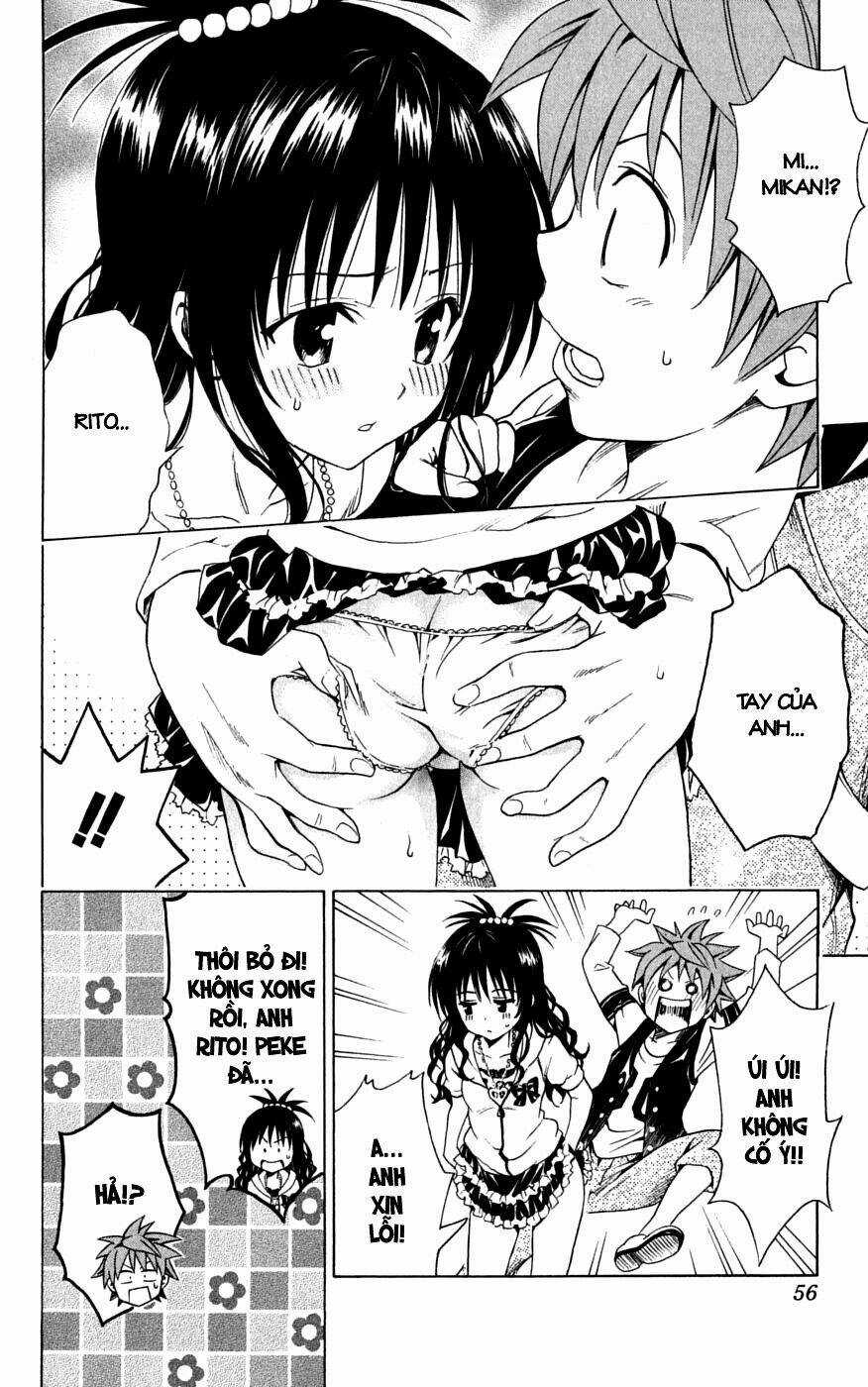 Palawari's Choice - Chapter 145 - Trang 10