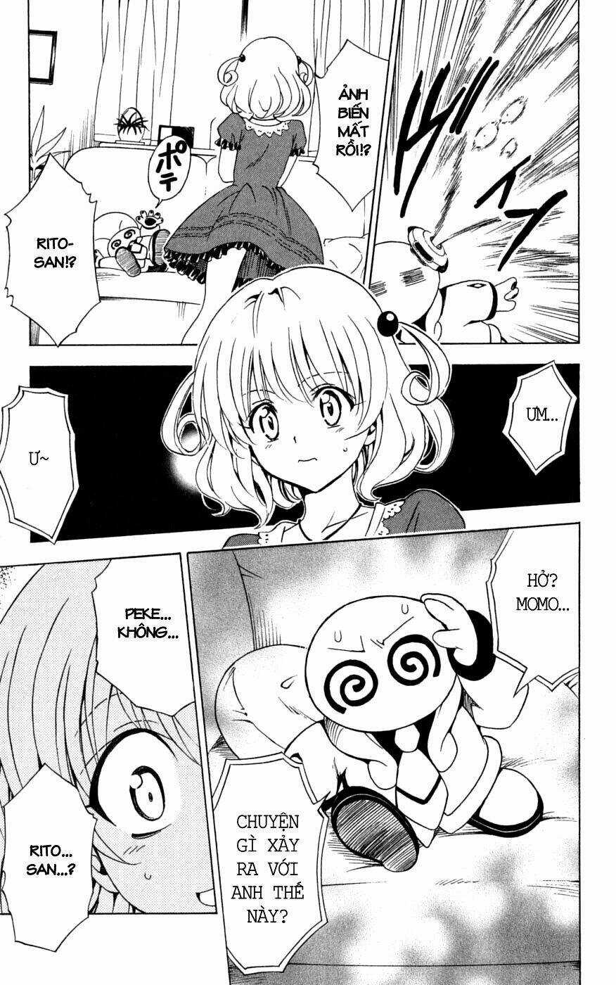 Palawari's Choice - Chapter 152 - Trang 11