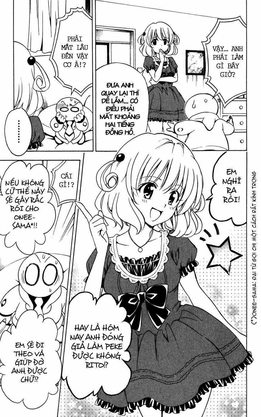 Palawari's Choice - Chapter 152 - Trang 13