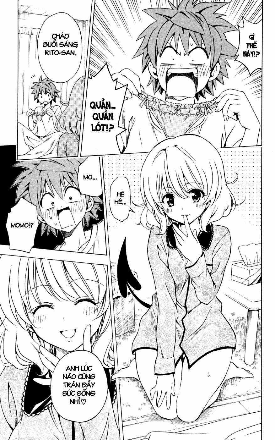 Palawari's Choice - Chapter 152 - Trang 3