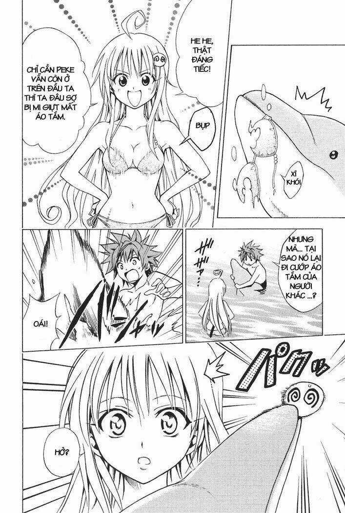 Palawari's Choice - Chapter 17 - Trang 25