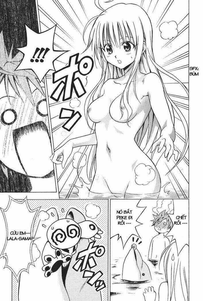 Palawari's Choice - Chapter 17 - Trang 26