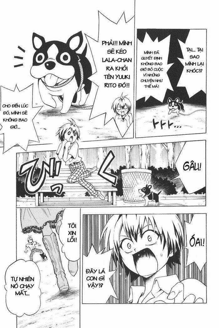 Palawari's Choice - Chapter 21 - Trang 11