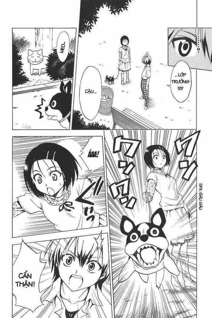 Palawari's Choice - Chapter 21 - Trang 16