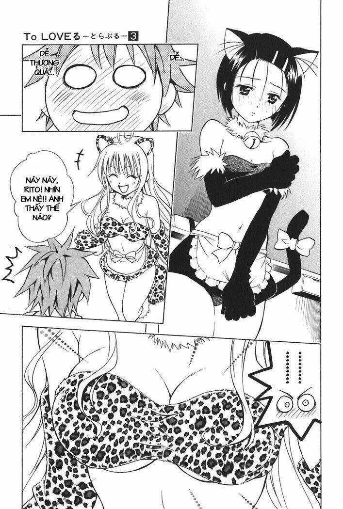 Palawari's Choice - Chapter 24 - Trang 17