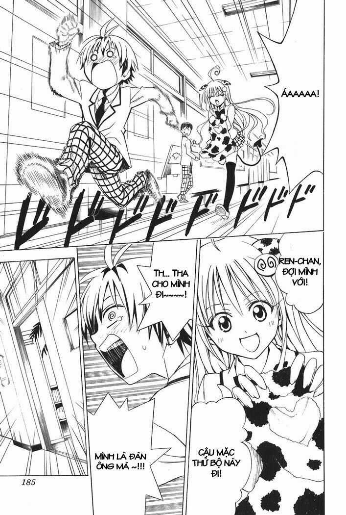 Palawari's Choice - Chapter 25 - Trang 17