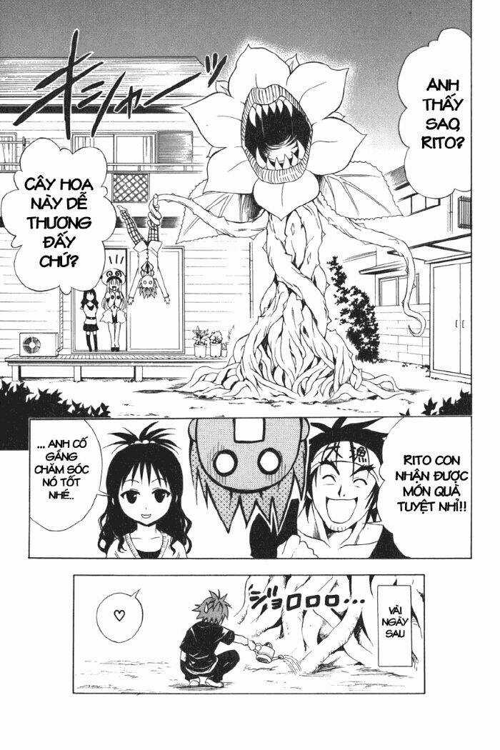 Palawari's Choice - Chapter 27 - Trang 19