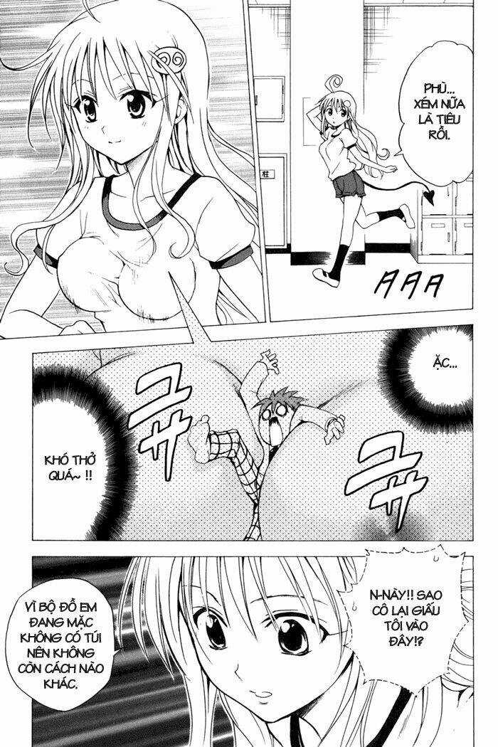 Palawari's Choice - Chapter 28 - Trang 17