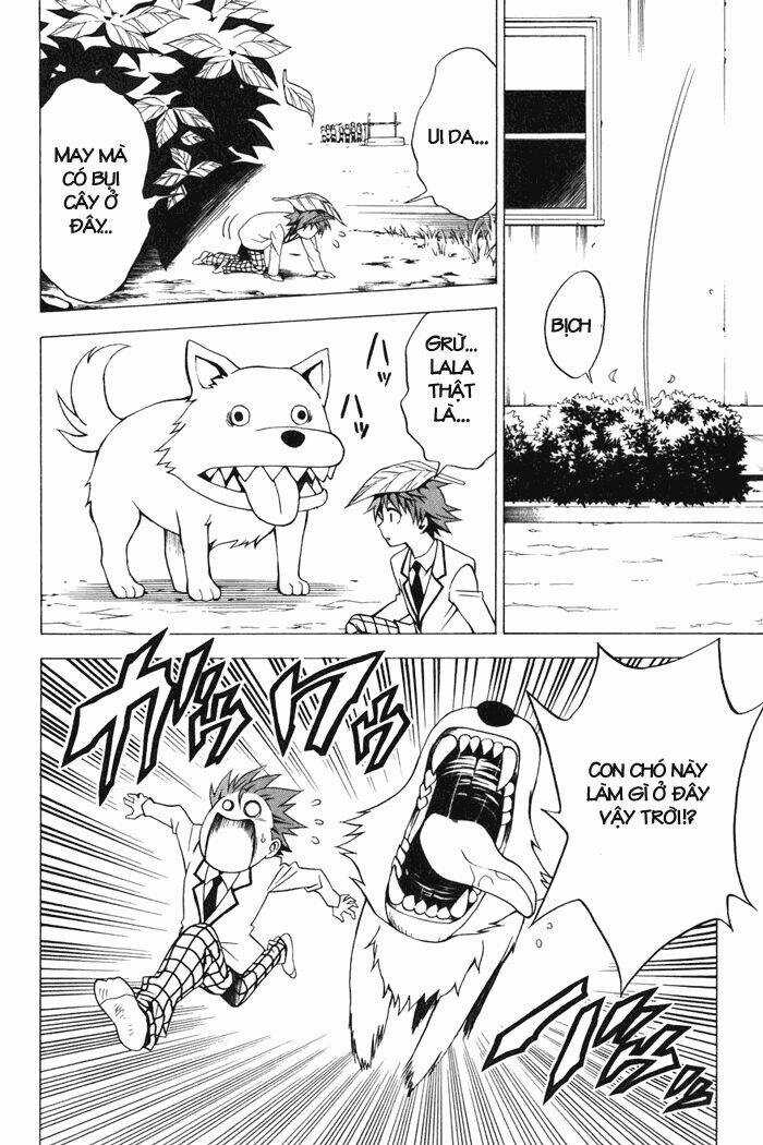 Palawari's Choice - Chapter 29 - Trang 10