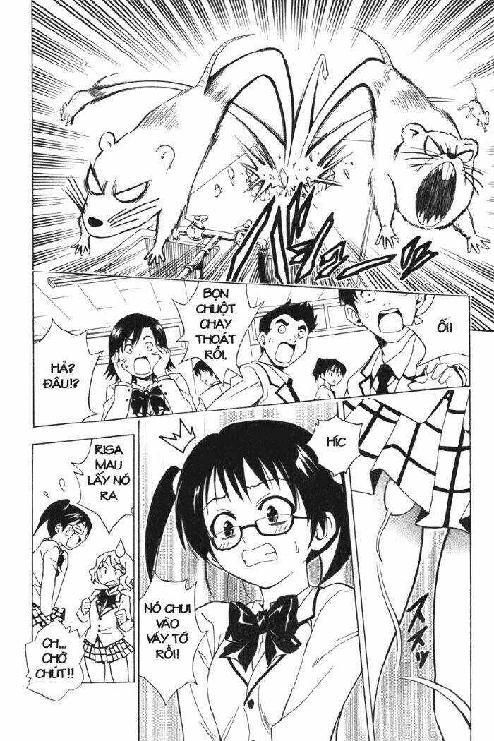 Palawari's Choice - Chapter 31 - Trang 10