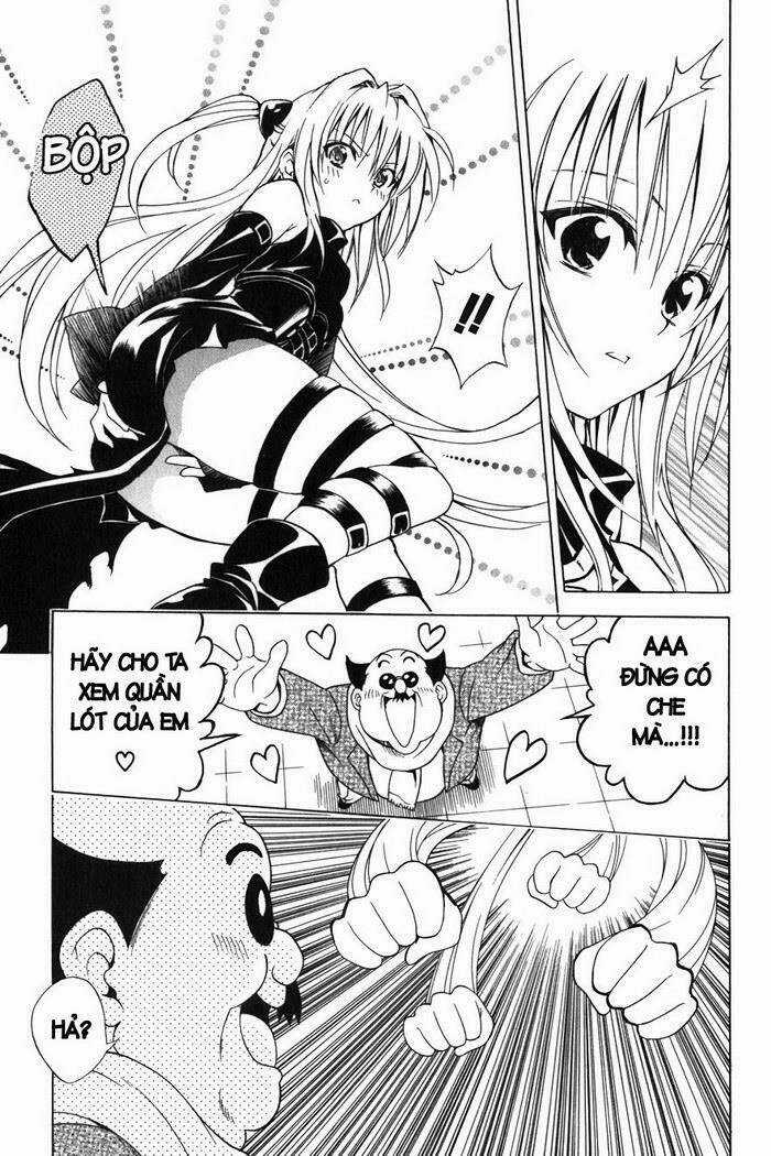 Palawari's Choice - Chapter 37 - Trang 11