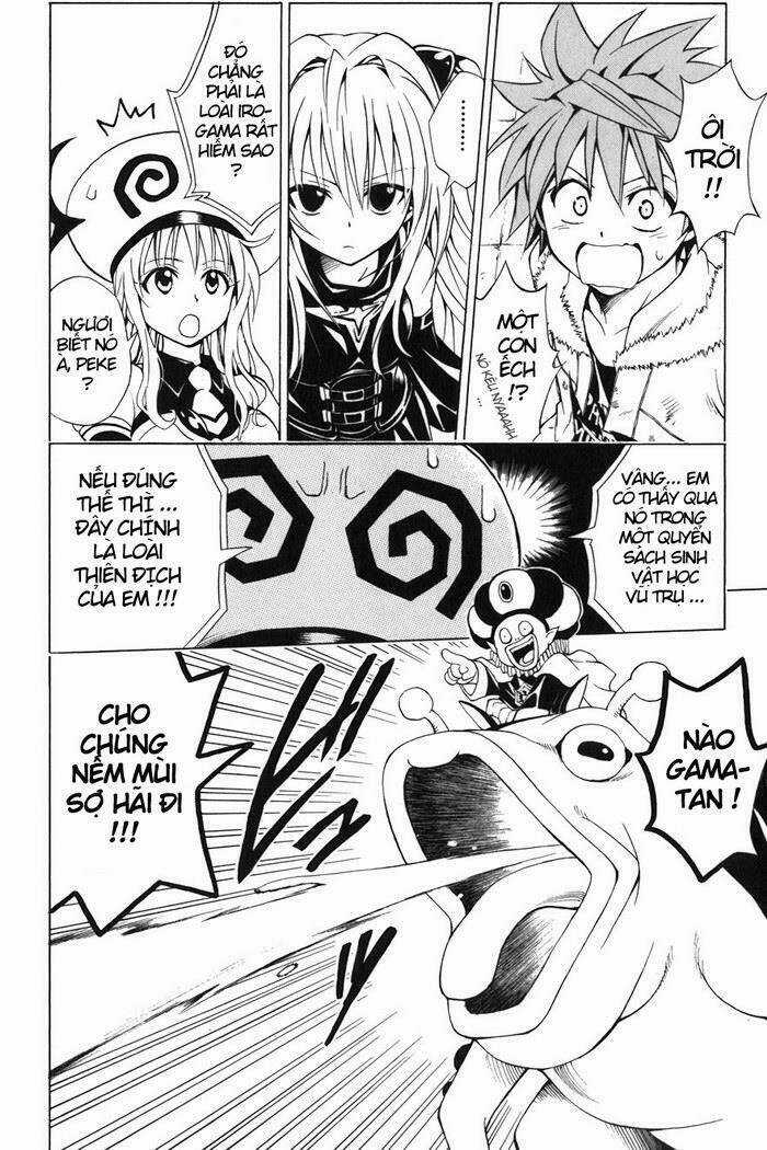 Palawari's Choice - Chapter 38 - Trang 6