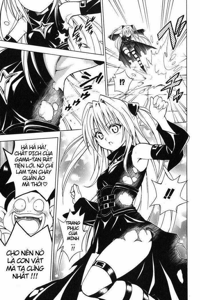 Palawari's Choice - Chapter 38 - Trang 7