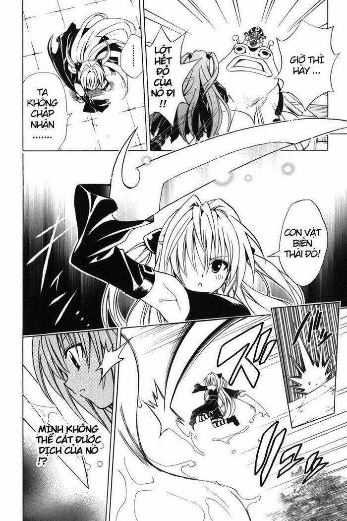 Palawari's Choice - Chapter 38 - Trang 8