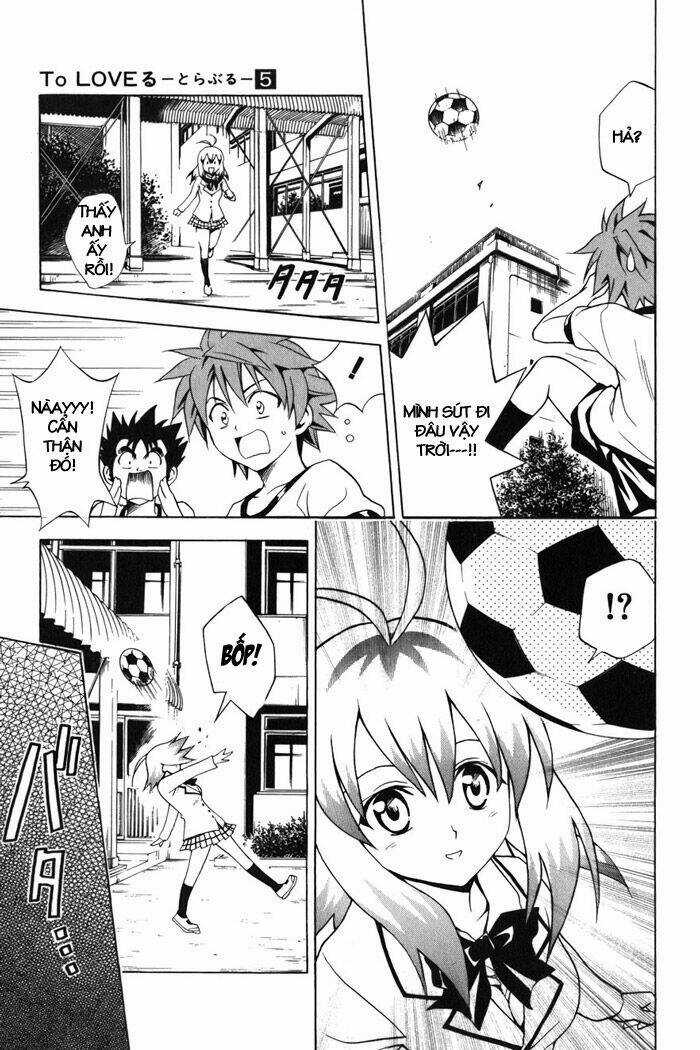 Palawari's Choice - Chapter 42 - Trang 7