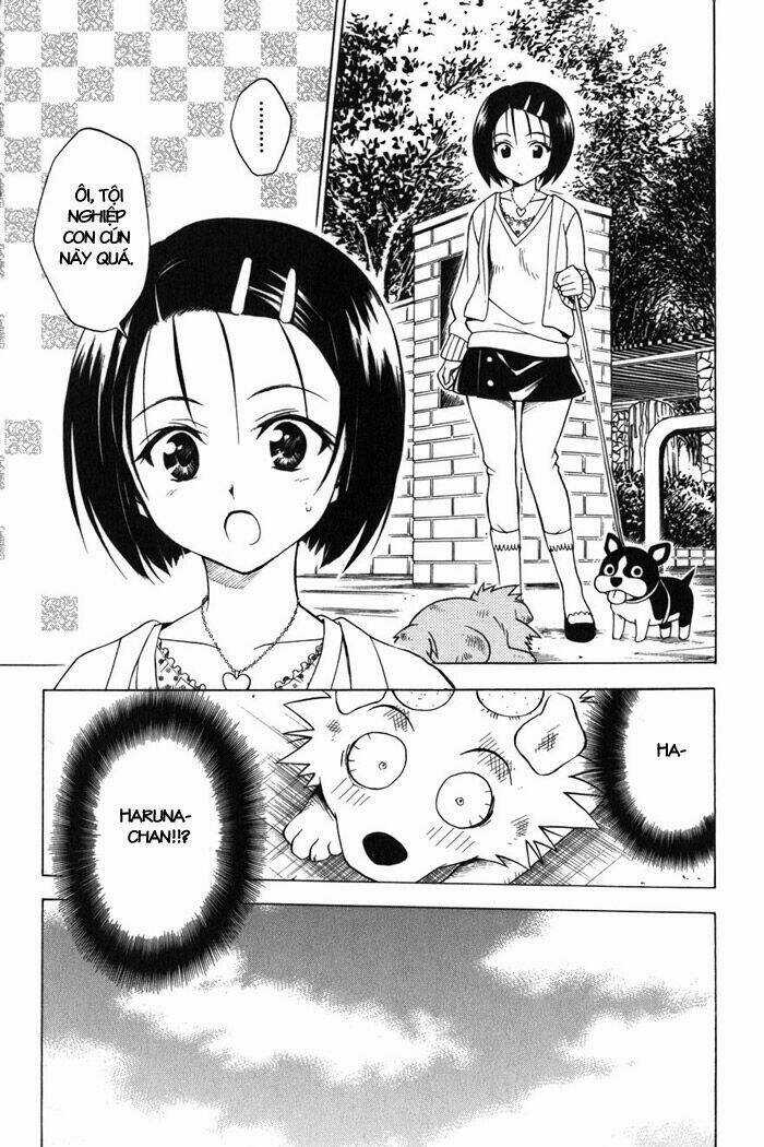 Palawari's Choice - Chapter 43 - Trang 17