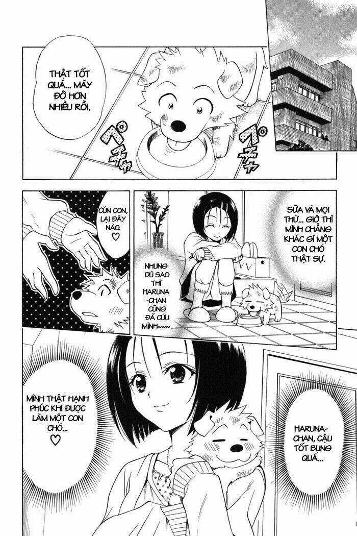 Palawari's Choice - Chapter 43 - Trang 18