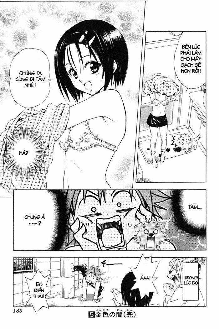 Palawari's Choice - Chapter 43 - Trang 19