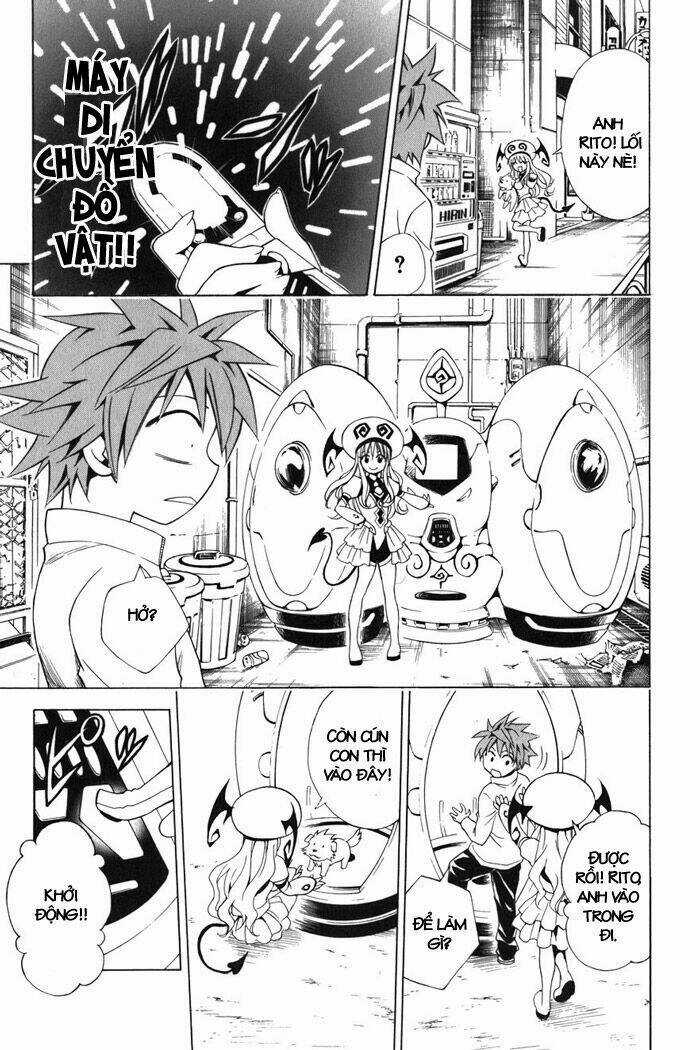 Palawari's Choice - Chapter 43 - Trang 3