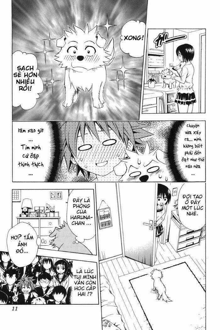 Palawari's Choice - Chapter 44 - Trang 11