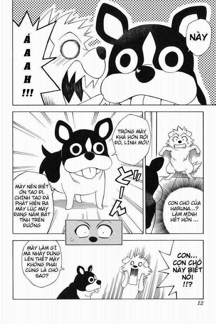 Palawari's Choice - Chapter 44 - Trang 12