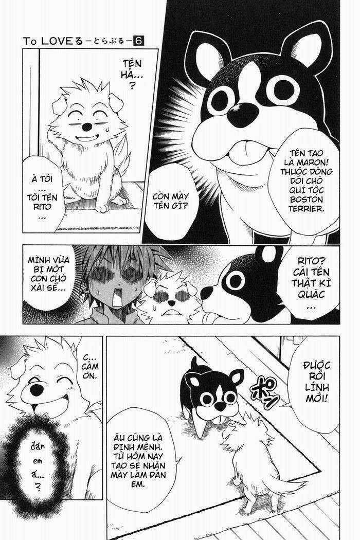 Palawari's Choice - Chapter 44 - Trang 13