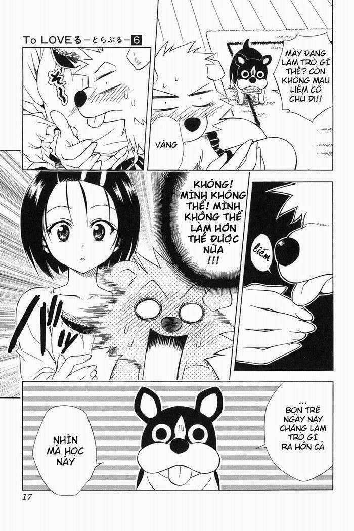 Palawari's Choice - Chapter 44 - Trang 17