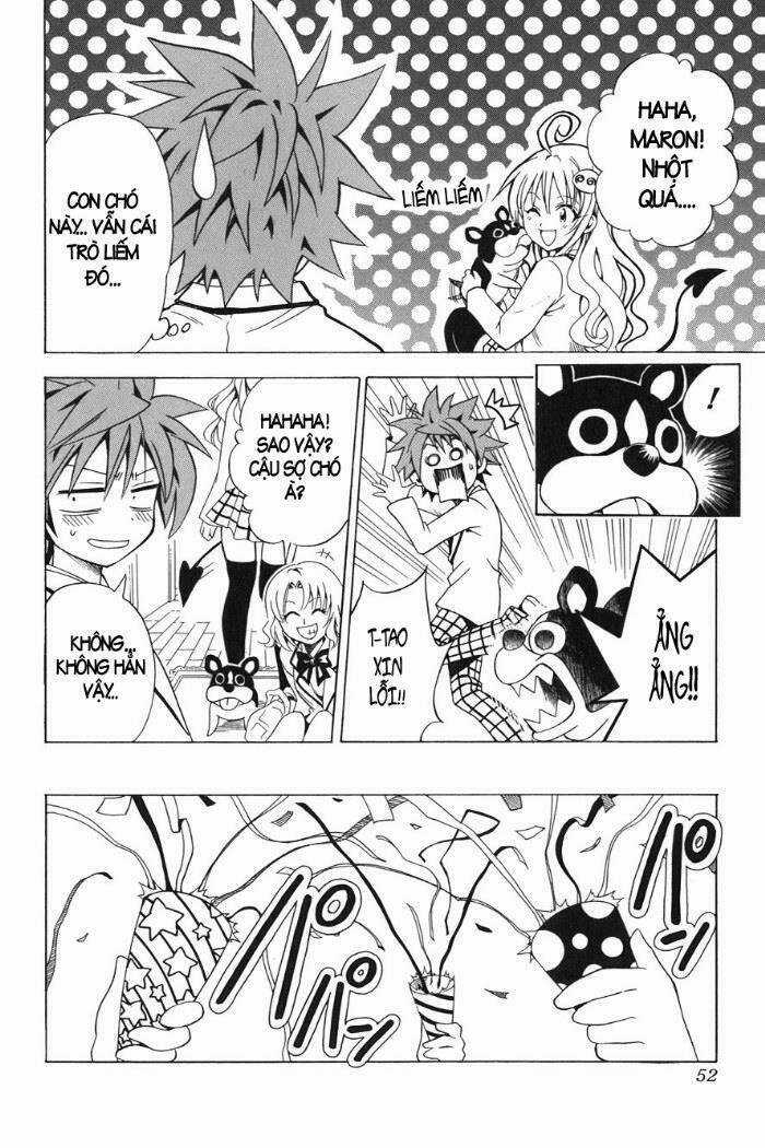 Palawari's Choice - Chapter 46 - Trang 5