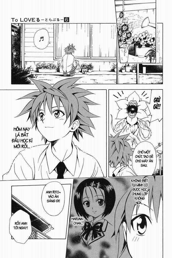 Palawari's Choice - Chapter 49 - Trang 5