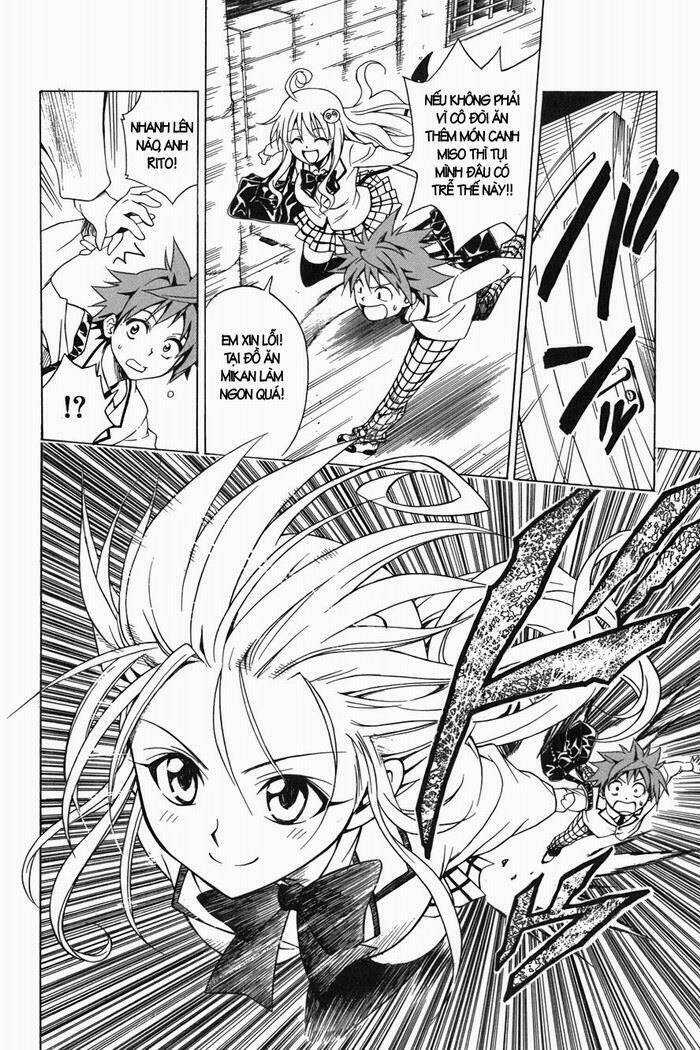 Palawari's Choice - Chapter 49 - Trang 10