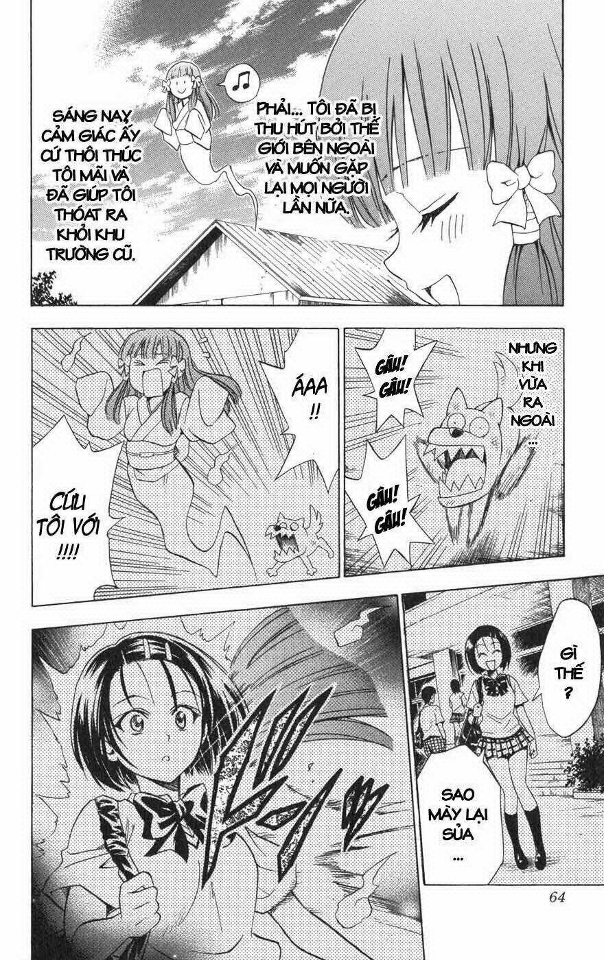 Palawari's Choice - Chapter 64 - Trang 18