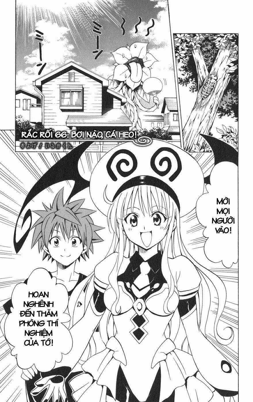 Palawari's Choice - Chapter 66 - Trang 1