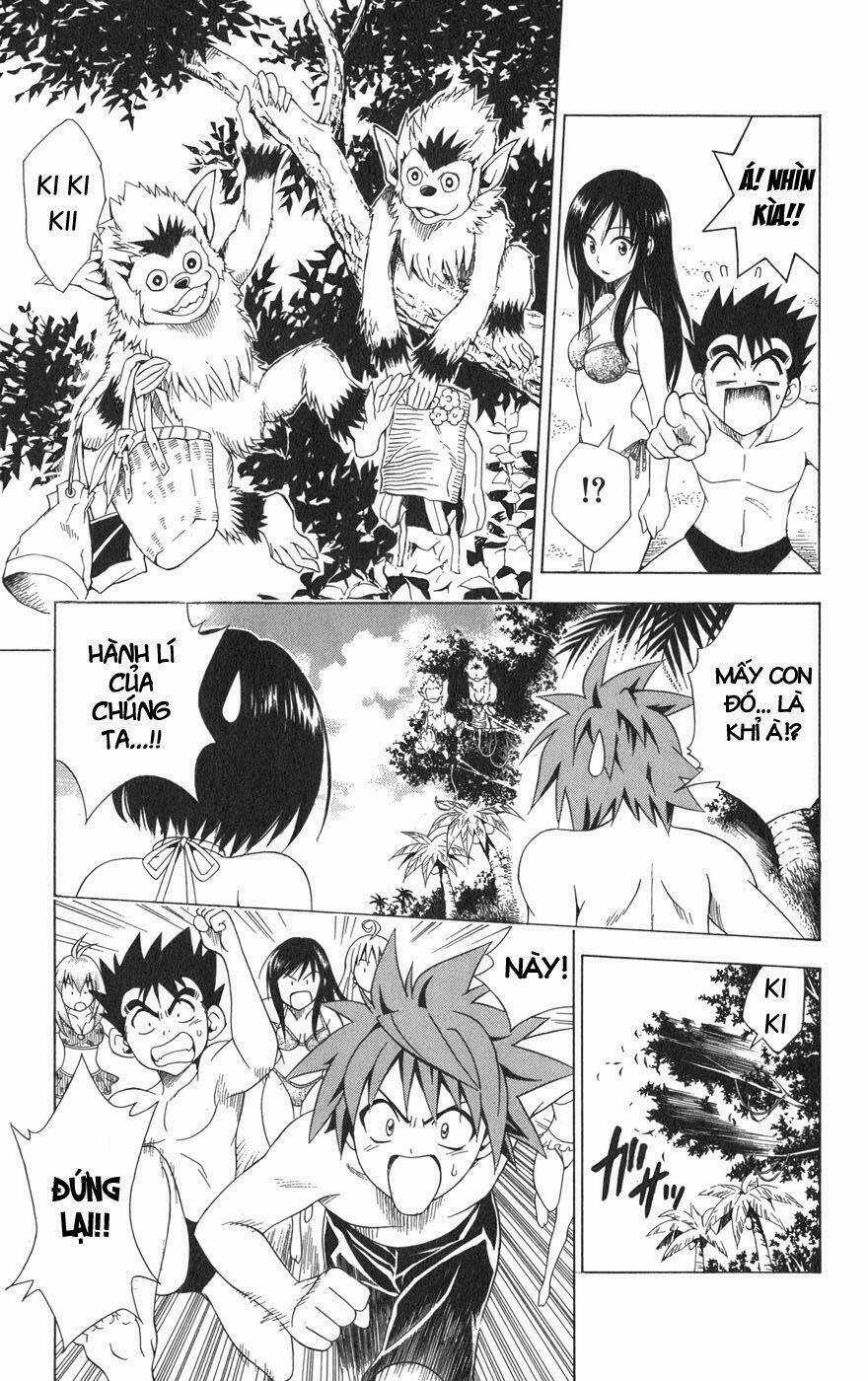 Palawari's Choice - Chapter 67 - Trang 5