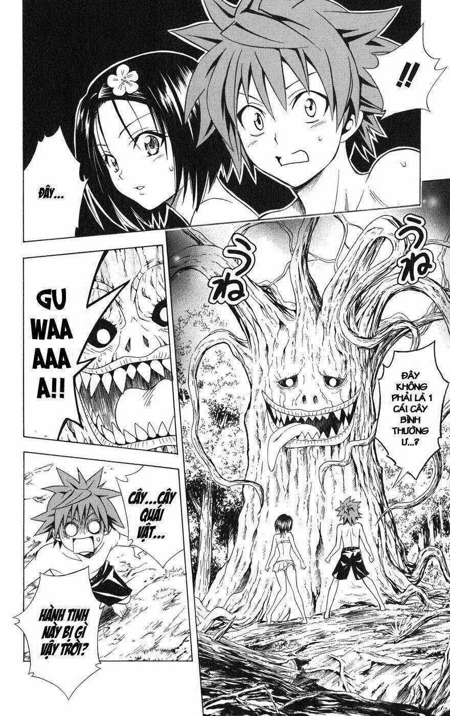 Palawari's Choice - Chapter 69 - Trang 12