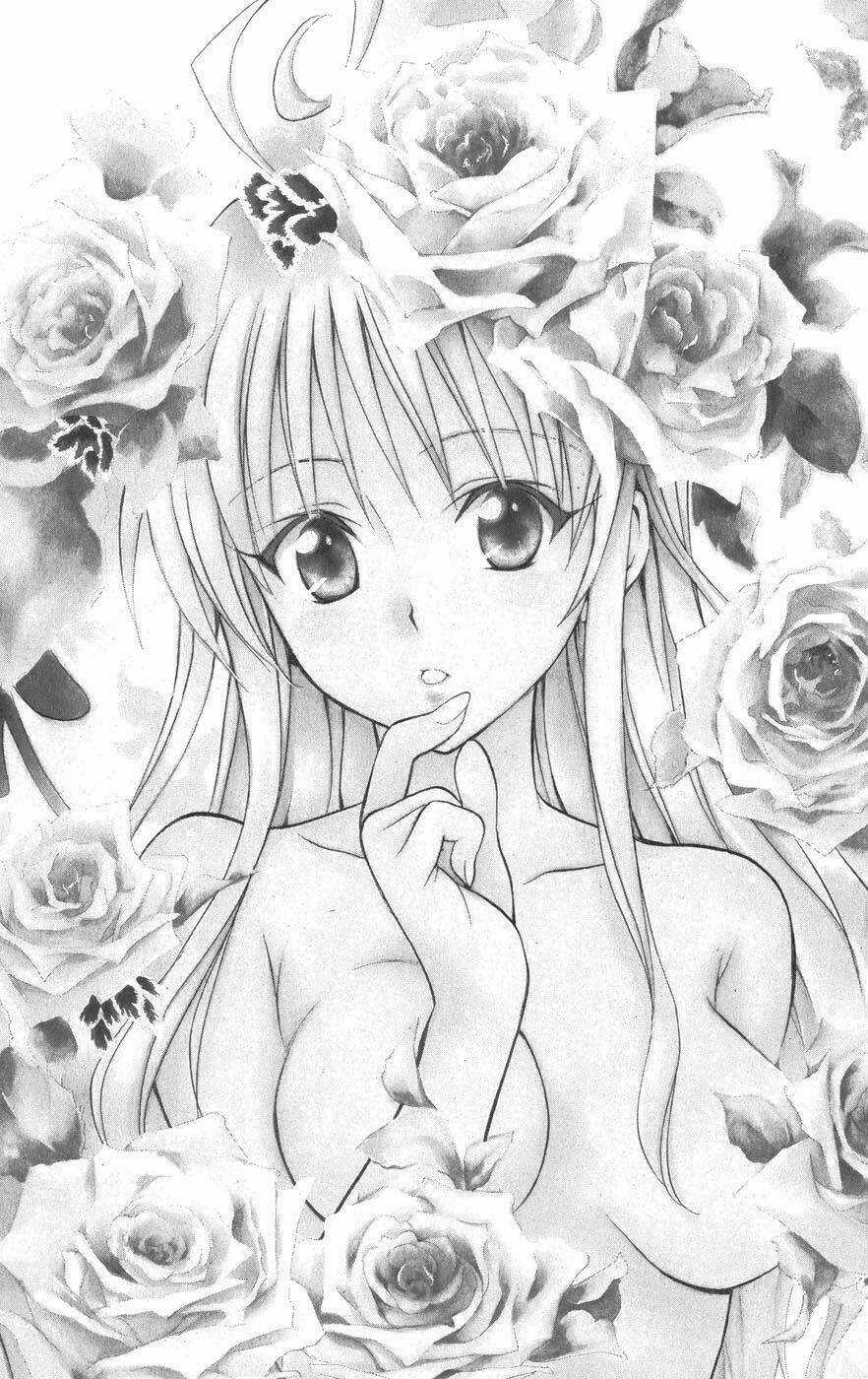 Palawari's Choice - Chapter 72 - Trang 4