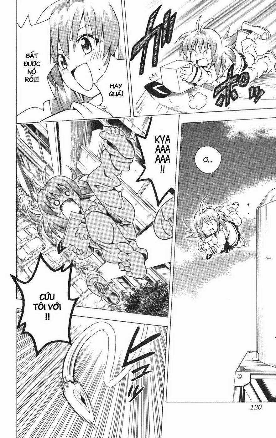 Palawari's Choice - Chapter 85 - Trang 17