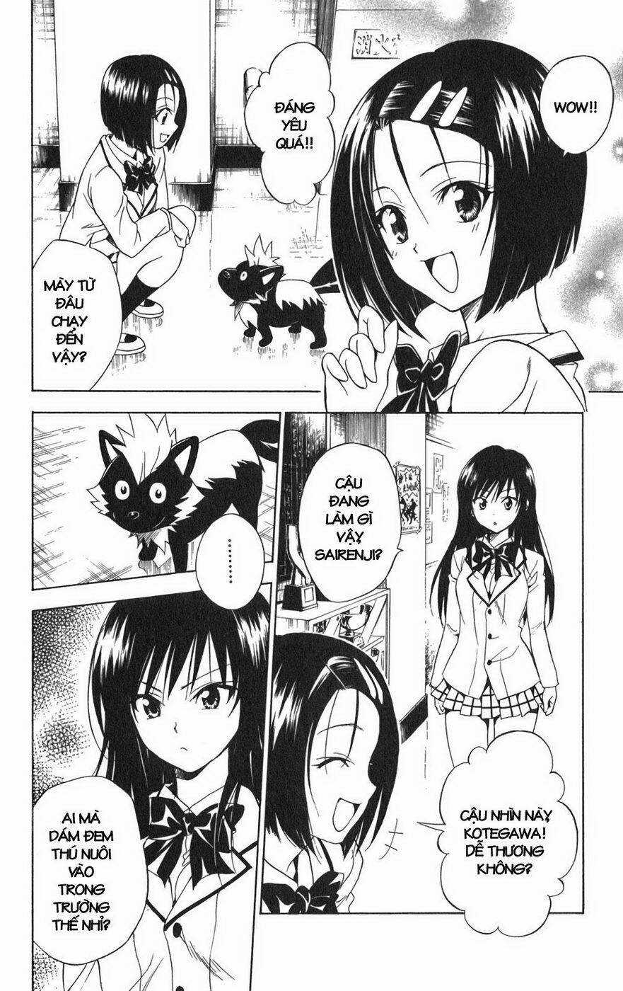 Palawari's Choice - Chapter 85 - Trang 9