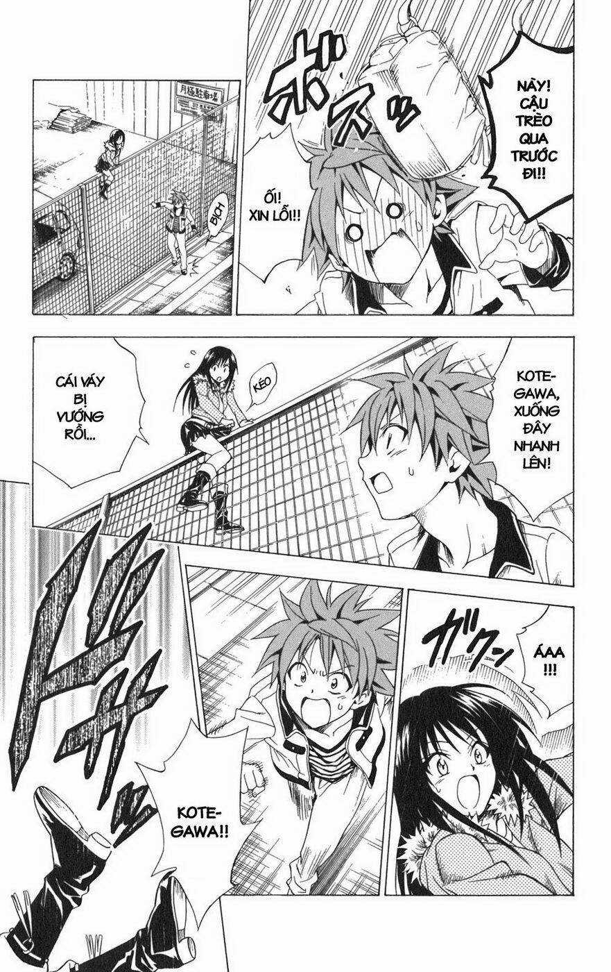 Palawari's Choice - Chapter 86 - Trang 14