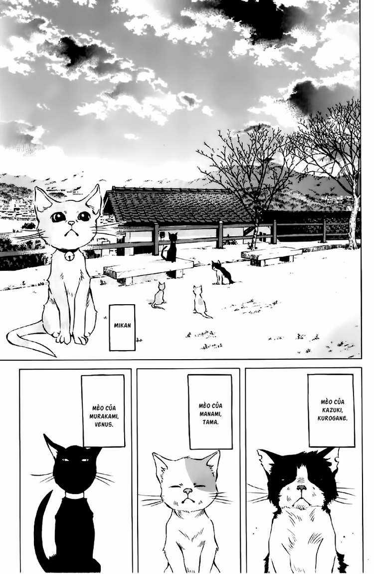 Pastel - Chapter 123.5 - Trang 12