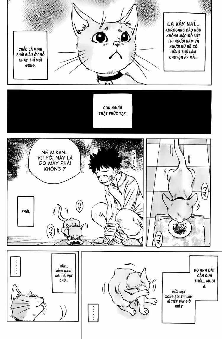 Pastel - Chapter 123.5 - Trang 19