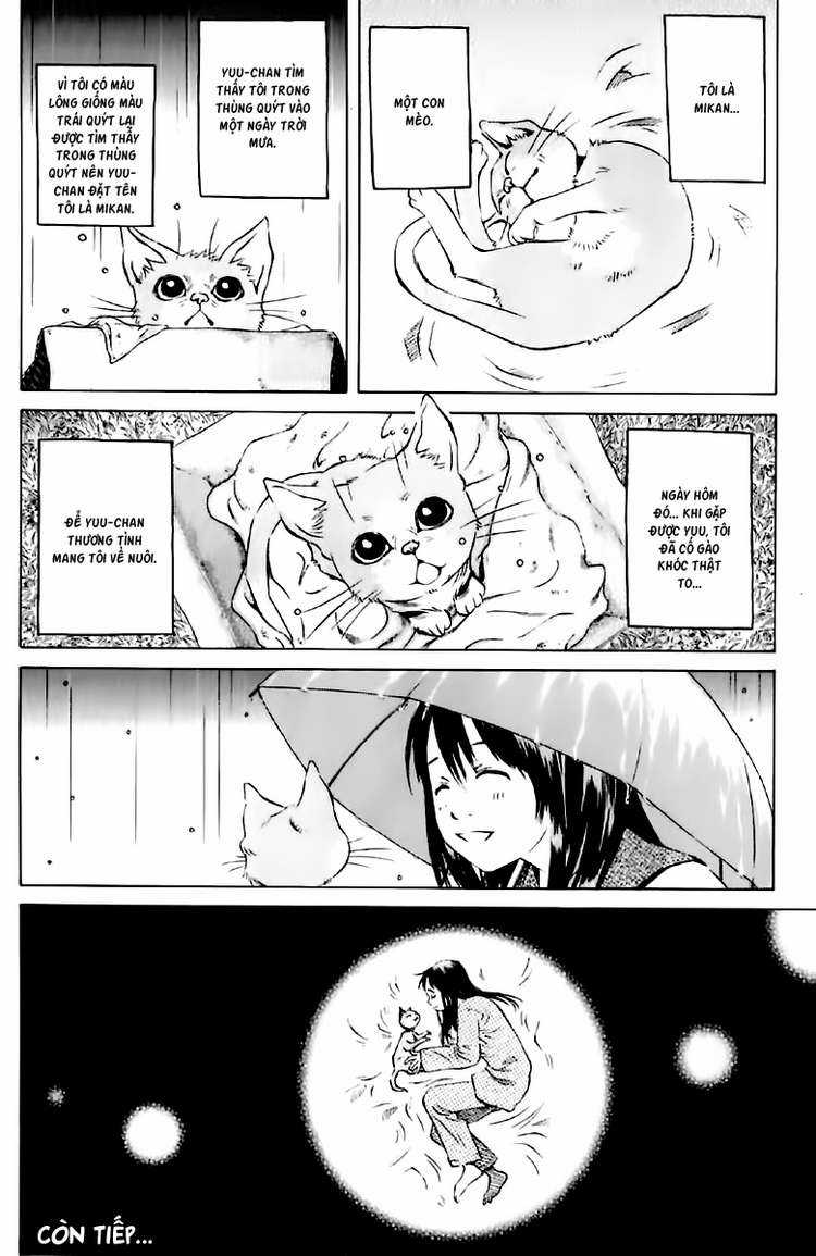 Pastel - Chapter 123.5 - Trang 21