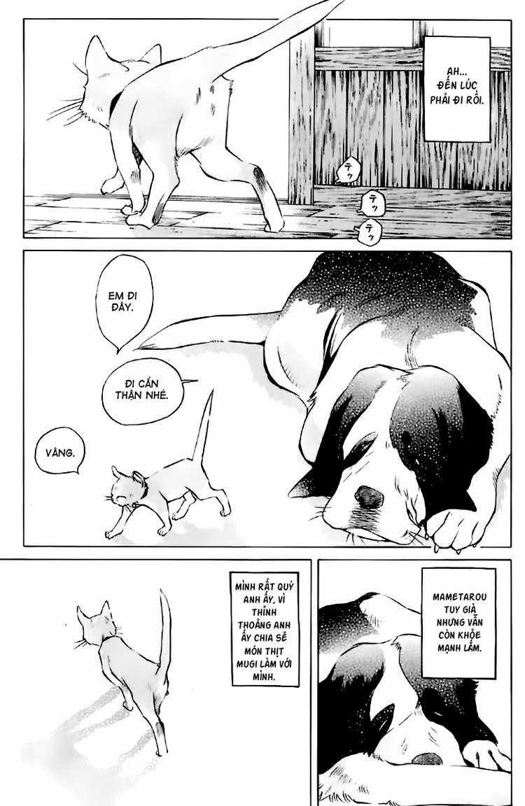 Pastel - Chapter 123.5 - Trang 10