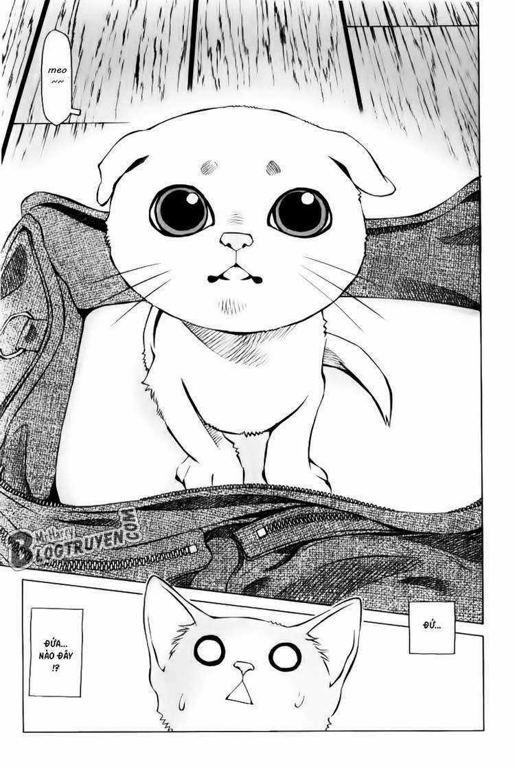 Pastel - Chapter 125 - Trang 3