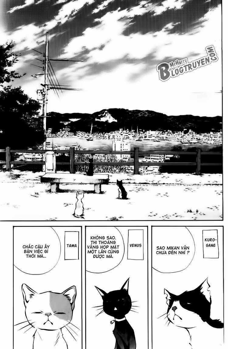 Pastel - Chapter 125 - Trang 23