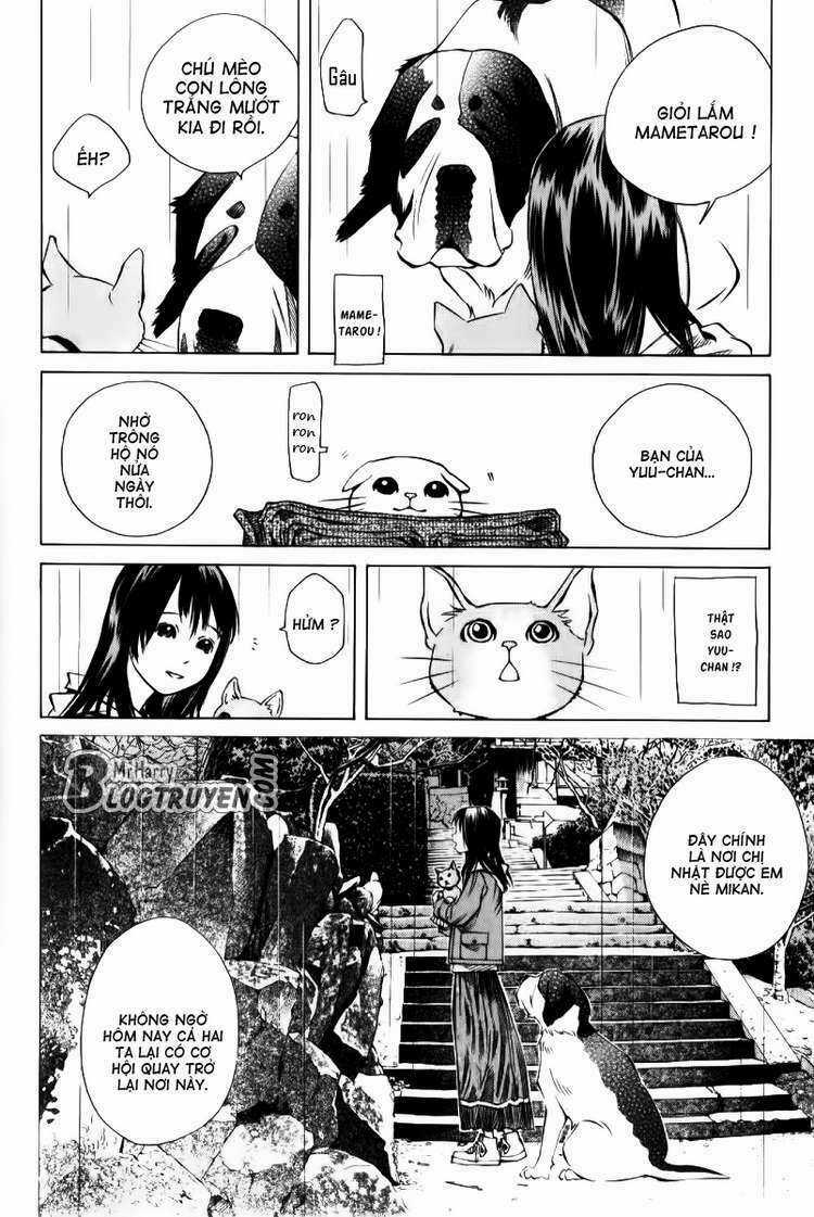 Pastel - Chapter 125 - Trang 41