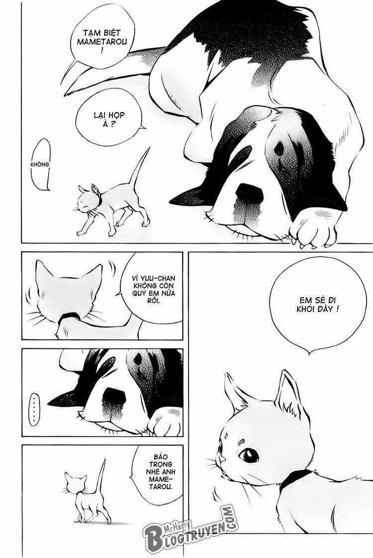 Pastel - Chapter 125 - Trang 10