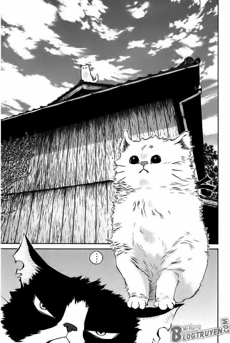 Pastel - Chapter 150 - Trang 12