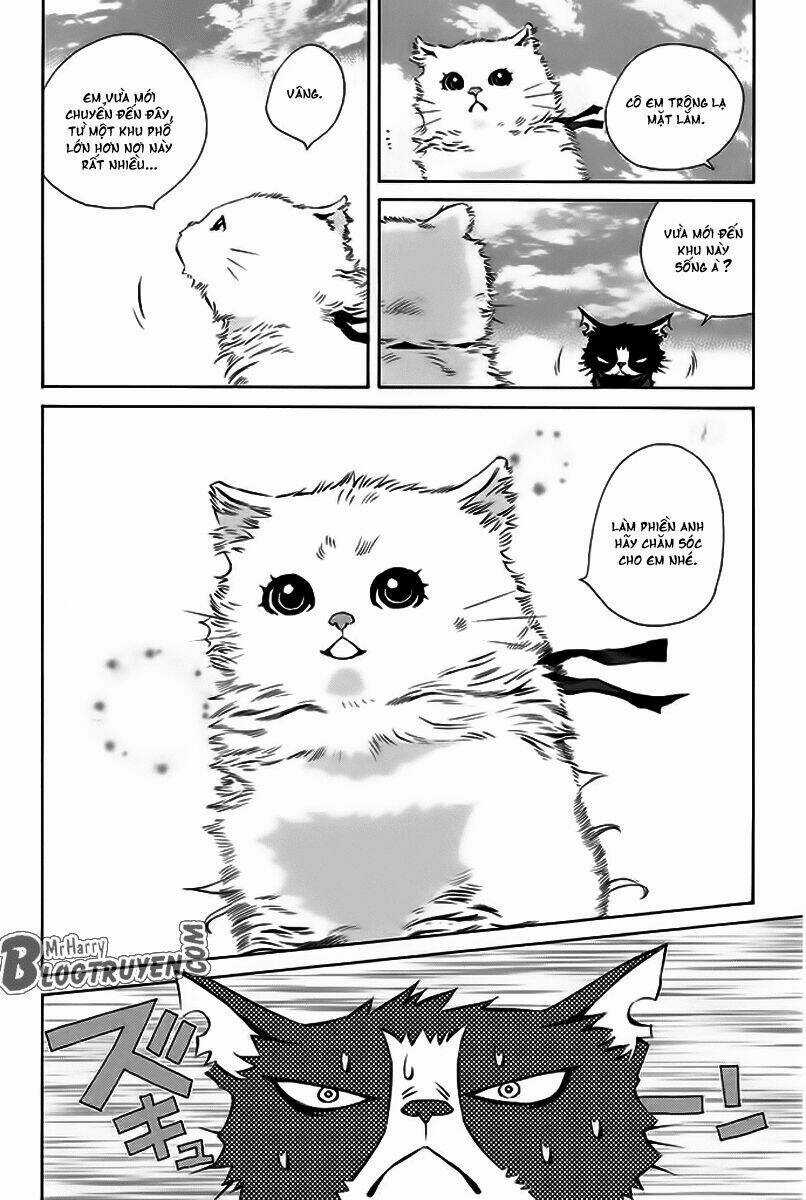 Pastel - Chapter 150 - Trang 13