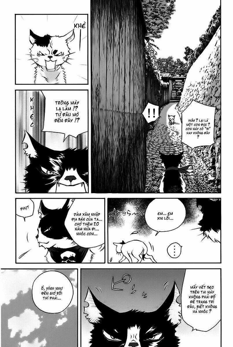 Pastel - Chapter 150 - Trang 8