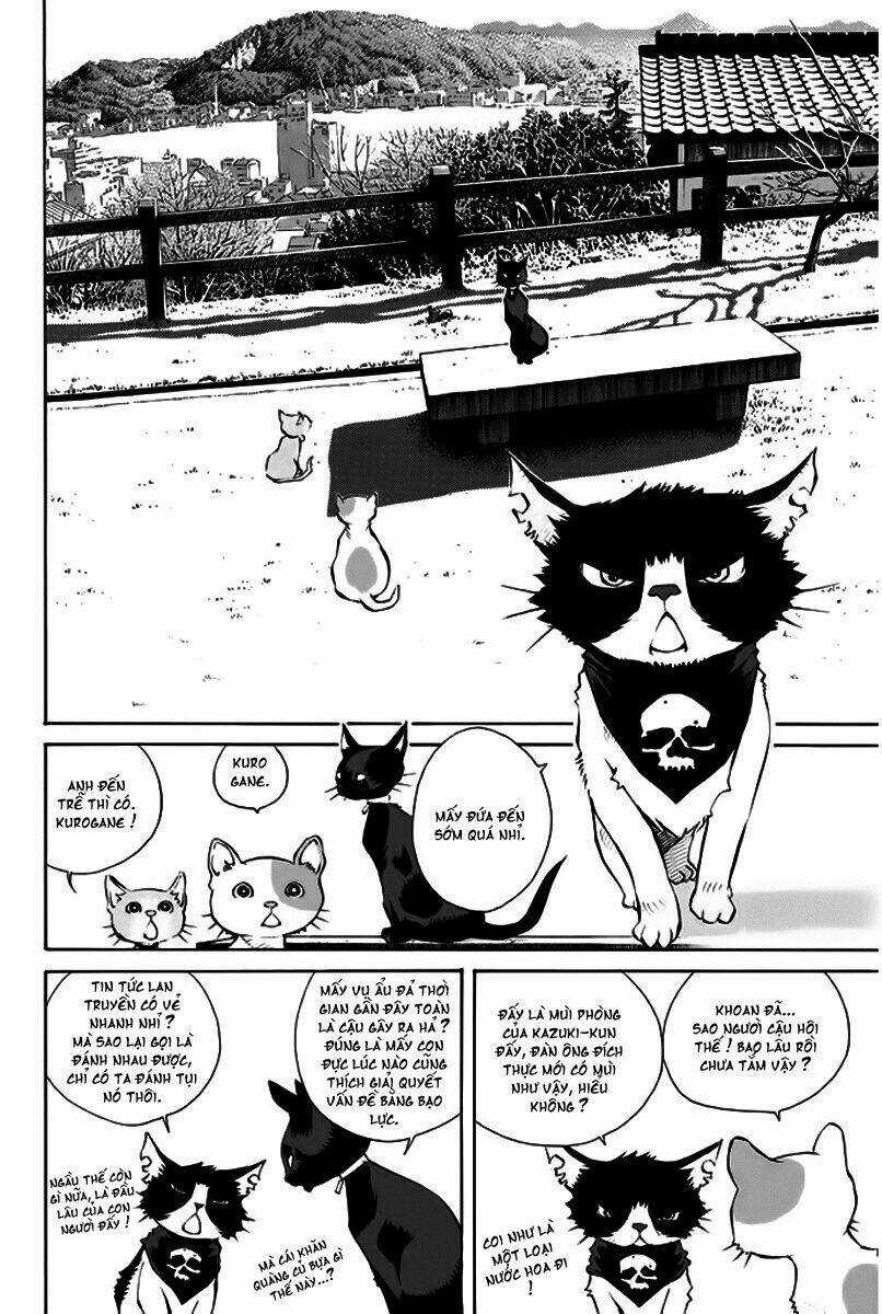 Pastel - Chapter 150 - Trang 9